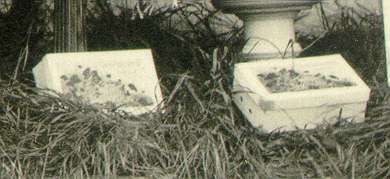 close up of the pie boxes in the 1922 window display, tunbridge wells.